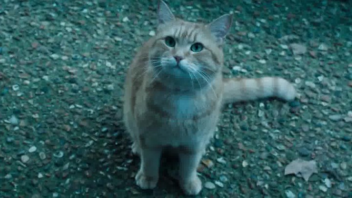 泛页面关键词3097