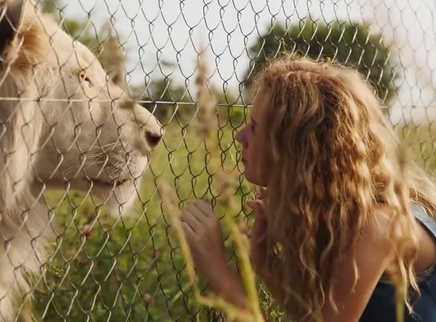 泛页面关键词1184