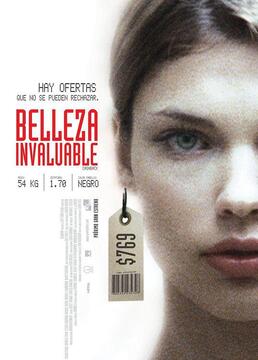 泛页面关键词0782