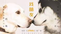 泛页面关键词0213