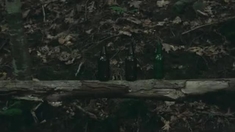 泛页面关键词0879