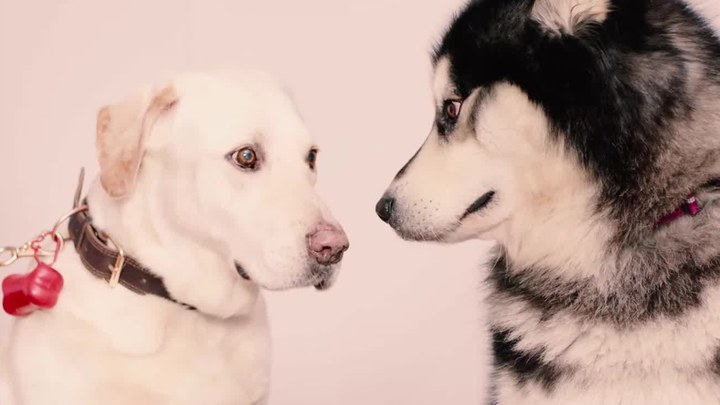 泛页面关键词3625