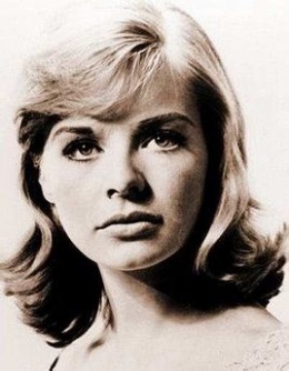 好男人观看免费高清完整在线