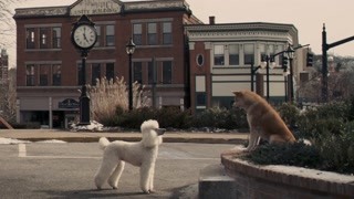 泛页面关键词2330