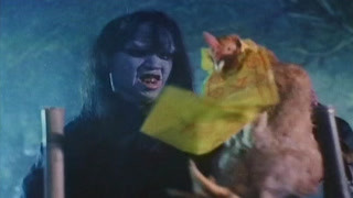 泛页面关键词0566