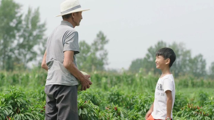 泛页面关键词0210