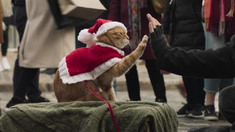 泛页面关键词2919