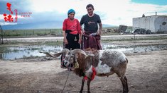 泛页面关键词3536