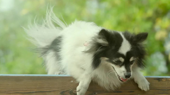 就算是爸爸也想做