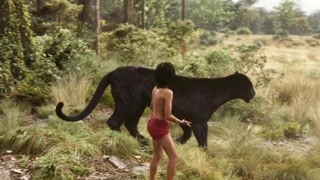 泛页面关键词3277