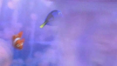 泛页面关键词2186